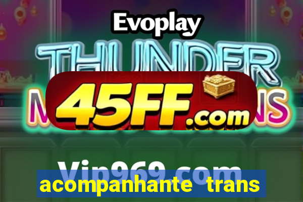 acompanhante trans baixada fluminense